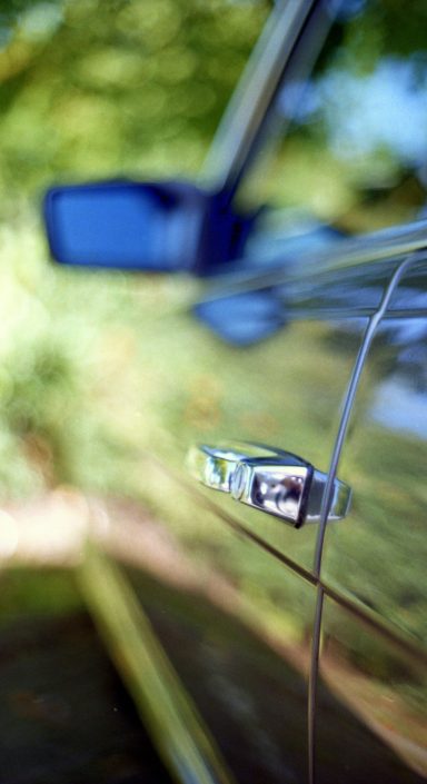 Linke Flanke grün mit Buschwerk