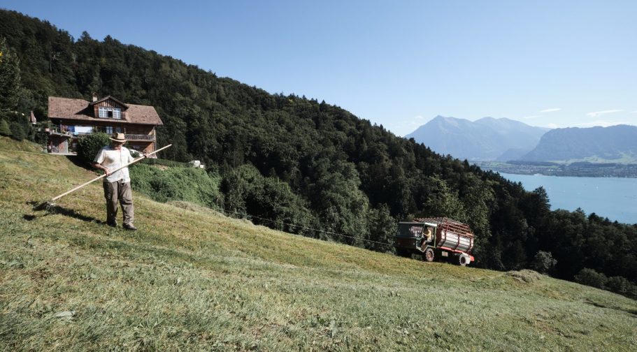 Heuernte mit Rechen und Heulader am Steilhang über dem See